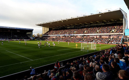 化要求的茶 化要求的茶